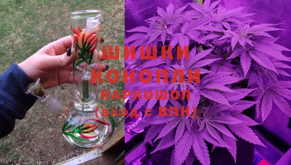 кокс Белокуриха